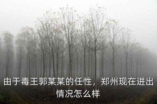 由于毒王郭某某的任性，鄭州現在進出情況怎么樣