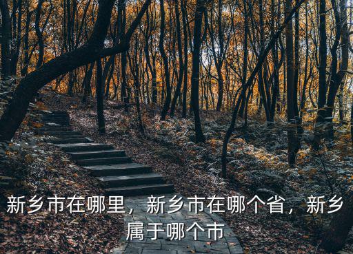 新鄉市在哪里，新鄉市在哪個省，新鄉屬于哪個市
