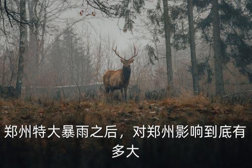 鄭州特大暴雨之后，對鄭州影響到底有多大