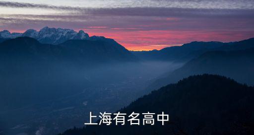 上海高中學校，上海有名高中