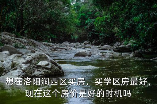 想在洛陽澗西區買房，買學區房最好，現在這個房價是好的時機嗎
