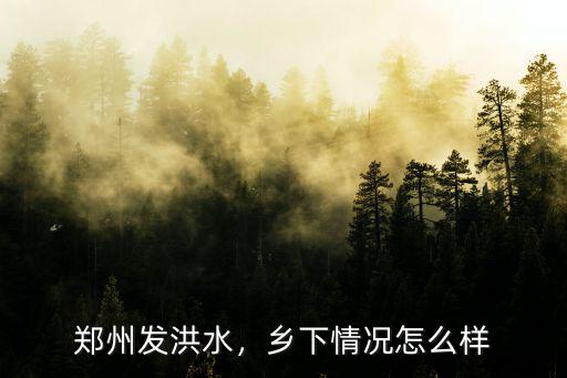 鄭州發洪水，鄉下情況怎么樣