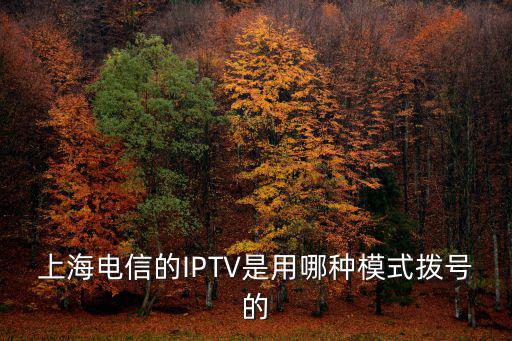 上海電信iptv，上海iptv套餐問題