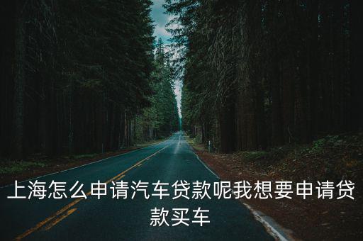 上海怎么申請(qǐng)汽車貸款呢我想要申請(qǐng)貸款買車