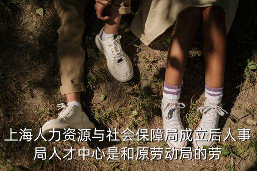 上海人力資源與社會保障局成立后人事局人才中心是和原勞動局的勞