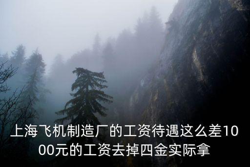 上海飛機制造廠，上海飛機制造有限公司的介紹