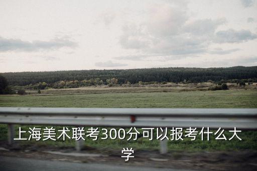 上海美術聯考300分可以報考什么大學