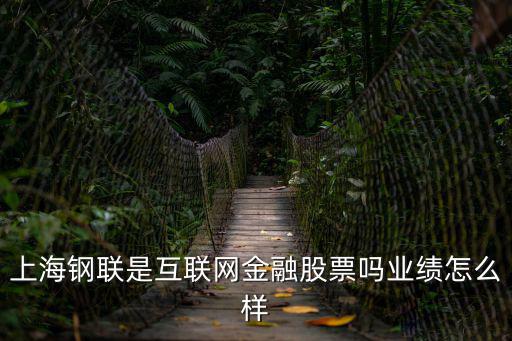 上海鋼聯是互聯網金融股票嗎業績怎么樣