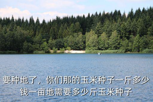 要種地了，你們那的玉米種子一斤多少錢一畝地需要多少斤玉米種子