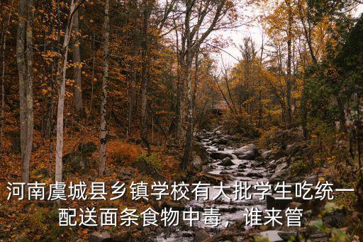 河南虞城縣鄉(xiāng)鎮(zhèn)學(xué)校有大批學(xué)生吃統(tǒng)一配送面條食物中毒，誰(shuí)來(lái)管