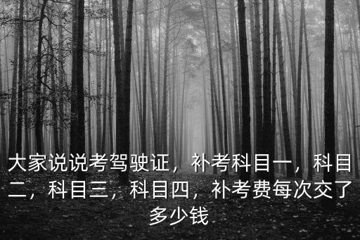 大家說說考駕駛證，補(bǔ)考科目一，科目二，科目三，科目四，補(bǔ)考費(fèi)每次交了多少錢
