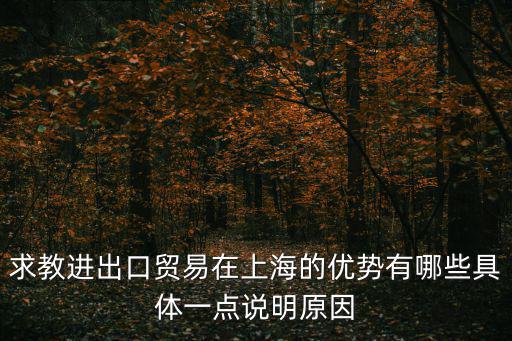 求教進出口貿易在上海的優勢有哪些具體一點說明原因