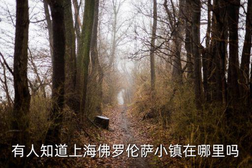 有人知道上海佛羅倫薩小鎮(zhèn)在哪里嗎