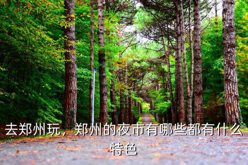 去鄭州玩，鄭州的夜市有哪些都有什么特色