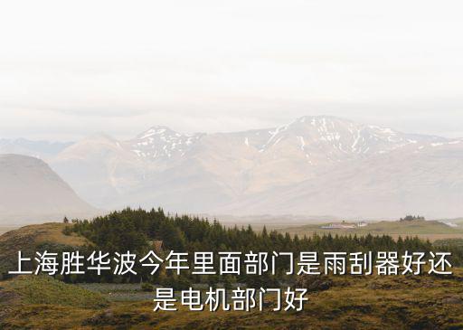 上海勝華波今年里面部門是雨刮器好還是電機部門好