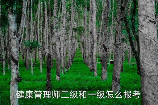 健康管理師二級和一級怎么報考