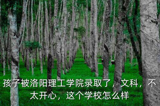孩子被洛陽理工學院錄取了，文科，不太開心，這個學校怎么樣
