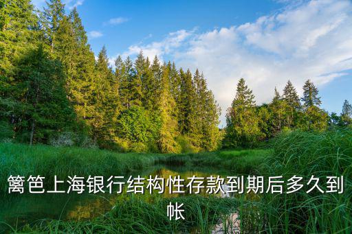 籬笆上海銀行結構性存款到期后多久到帳