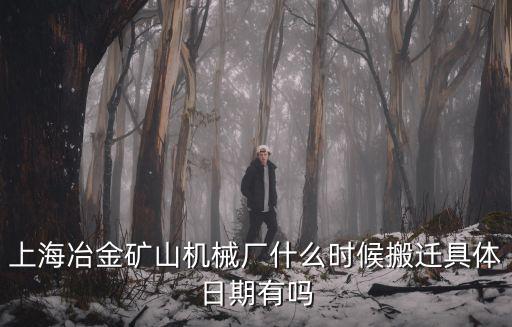 上海冶金礦山機械廠什么時候搬遷具體日期有嗎
