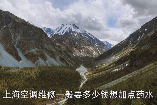上海空調維修一般要多少錢想加點藥水