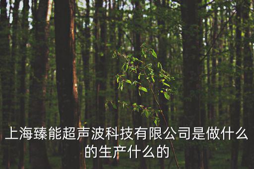 上海臻能超聲波科技有限公司是做什么的生產什么的