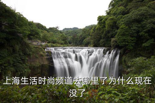 上海生活時尚頻道去哪里了為什么現(xiàn)在沒了