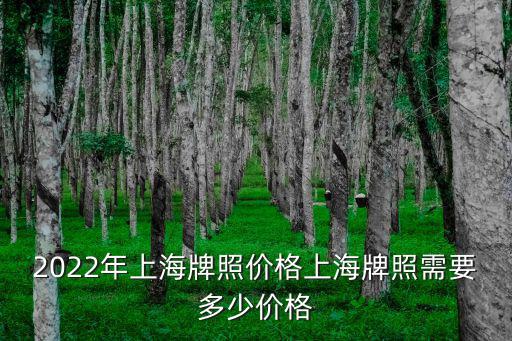 2022年上海牌照價(jià)格上海牌照需要多少價(jià)格