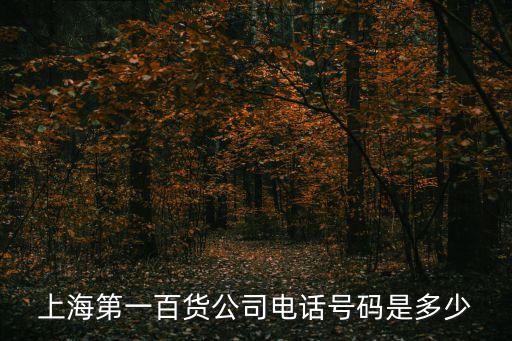 上海第一百貨公司電話號碼是多少
