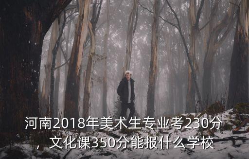 河南2018年美術生專業考230分，文化課350分能報什么學校