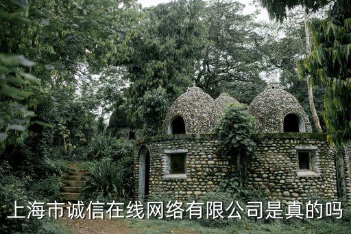 上海市誠信在線網絡有限公司是真的嗎