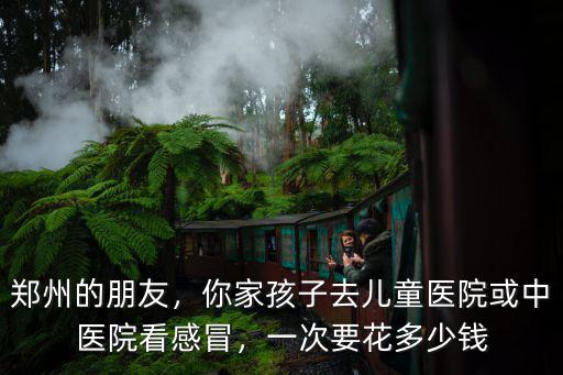 鄭州的朋友，你家孩子去兒童醫院或中醫院看感冒，一次要花多少錢
