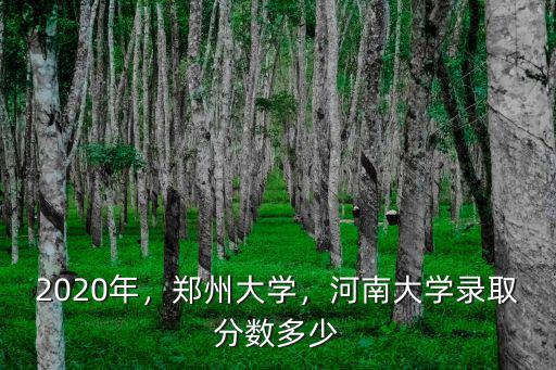 2020年，鄭州大學，河南大學錄取分數多少