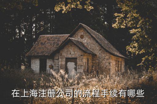 在上海注冊(cè)公司的流程手續(xù)有哪些