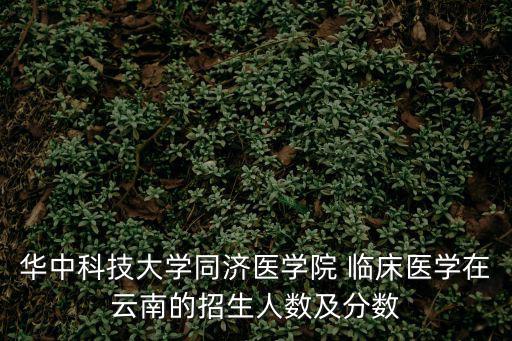 華中科技大學(xué)同濟醫(yī)學(xué)院 臨床醫(yī)學(xué)在云南的招生人數(shù)及分數(shù)