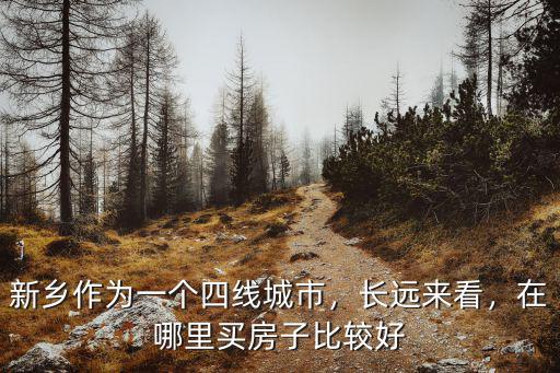 新鄉(xiāng)作為一個(gè)四線城市，長(zhǎng)遠(yuǎn)來(lái)看，在哪里買(mǎi)房子比較好