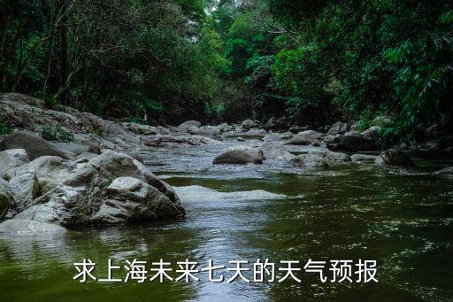 求上海未來七天的天氣預報