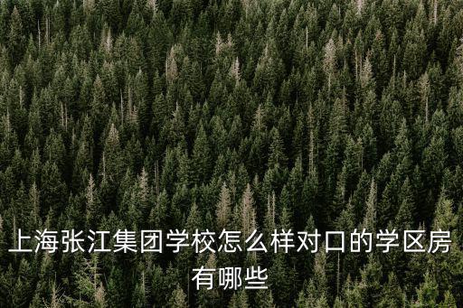上海張江集團學校怎么樣對口的學區房有哪些