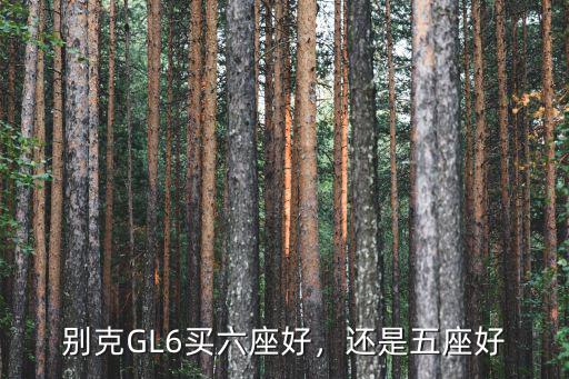 南陽別克gl6六座中配落地多少,中配裸車價最低多少錢