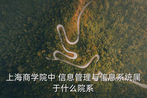 上海商學院教務系統，上海商學院中 信息管理與信息系統屬于什么院系