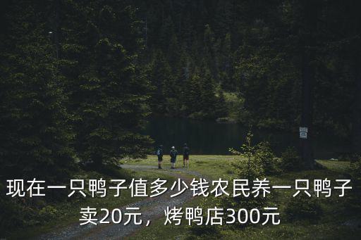 漯河市鴨多少錢一只,現(xiàn)在一只鴨子值多少錢