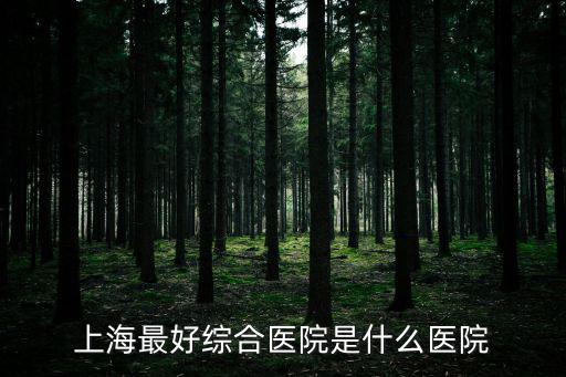 上海最好綜合醫(yī)院是什么醫(yī)院
