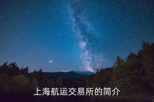 上海航運交易所的簡介