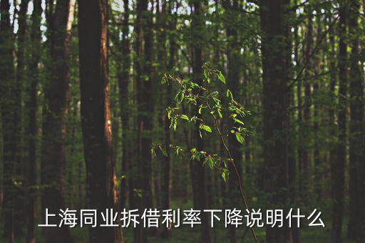上海同業(yè)拆借利率，現(xiàn)在中國的基準(zhǔn)利率是什么是上海的同業(yè)拆借利率還是1年期存款