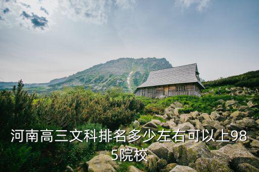 河南高三文科排名多少左右可以上985院校