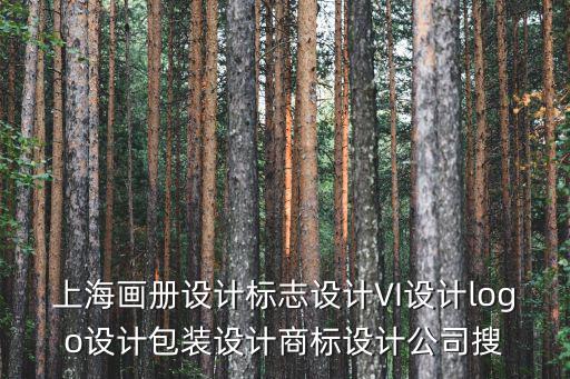 上海畫冊設計標志設計VI設計logo設計包裝設計商標設計公司搜