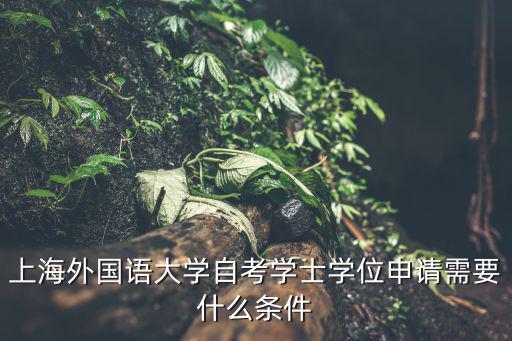 上海外國語大學自考學士學位申請需要什么條件