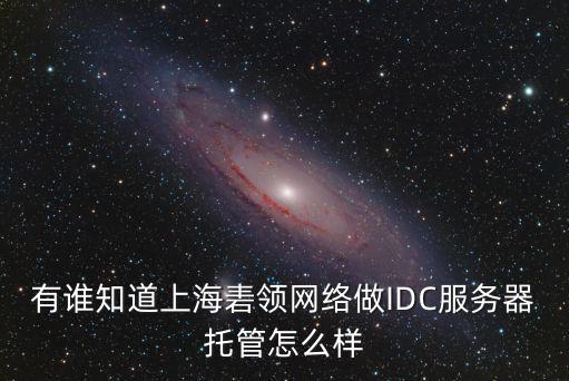 有誰知道上海砉領(lǐng)網(wǎng)絡(luò)做IDC服務(wù)器托管怎么樣