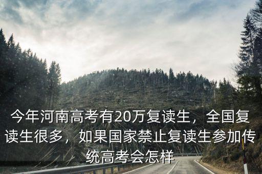 今年河南高考有20萬復讀生，全國復讀生很多，如果國家禁止復讀生參加傳統高考會怎樣
