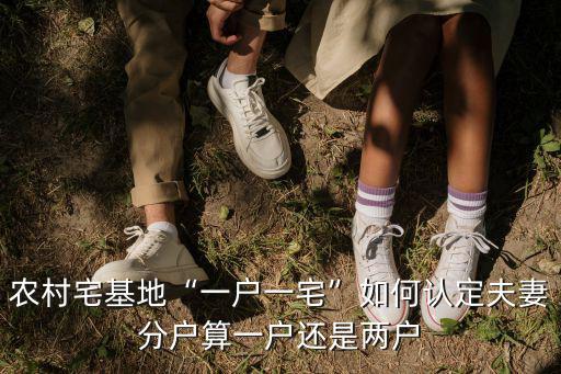 商丘農村一戶一宅怎么辦理,夫妻分戶算一戶還是兩戶
