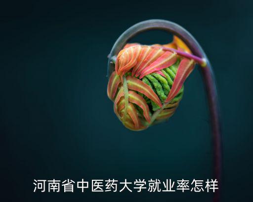 河南省中醫(yī)藥大學(xué)就業(yè)率怎樣
